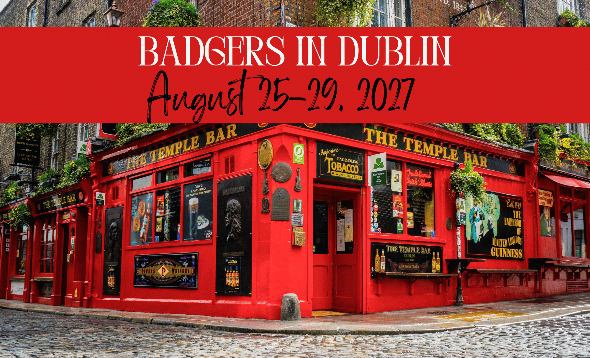 badgers in dublin